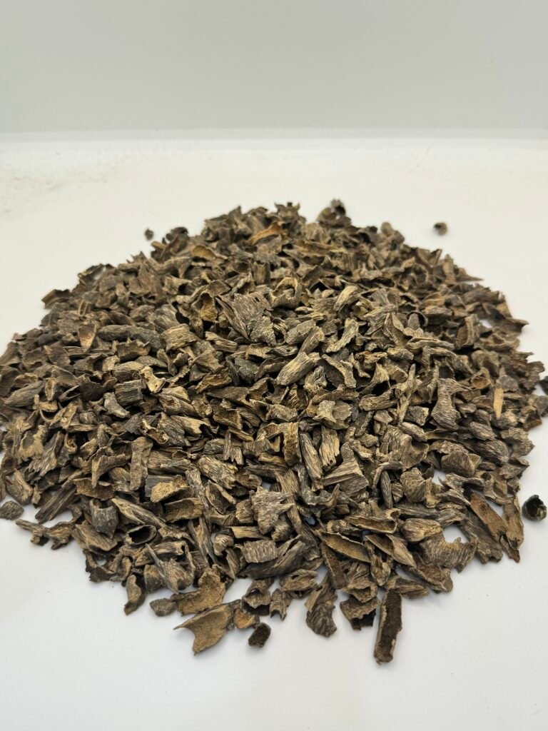 Burmese Oudh Maliki