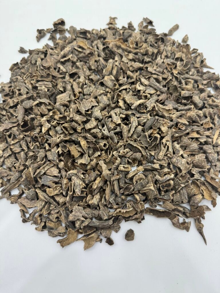 Burmese Oudh Maliki