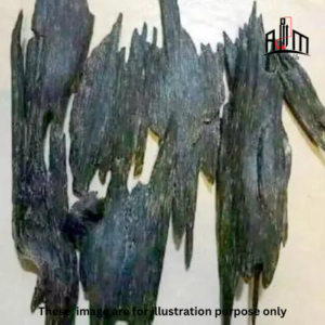 Agarwood Nagaland