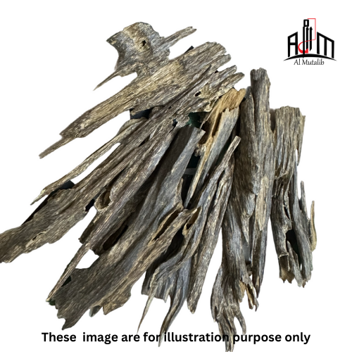 Malaysian Super Agarwood